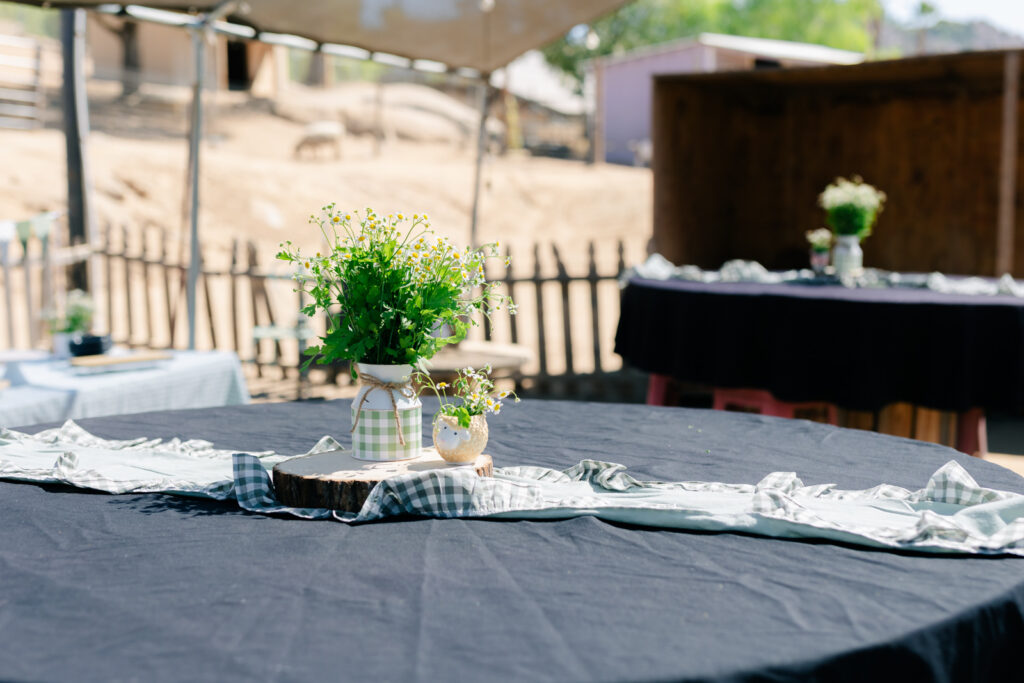 Farm Birthday Party San Diego set up