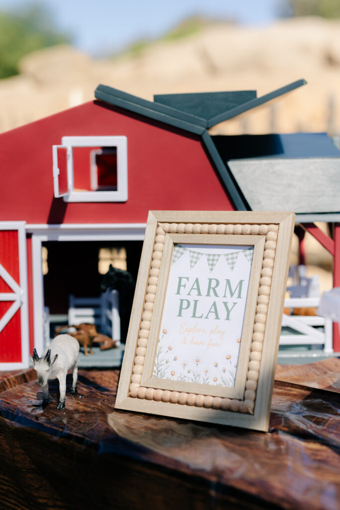 Farm themed details of the party