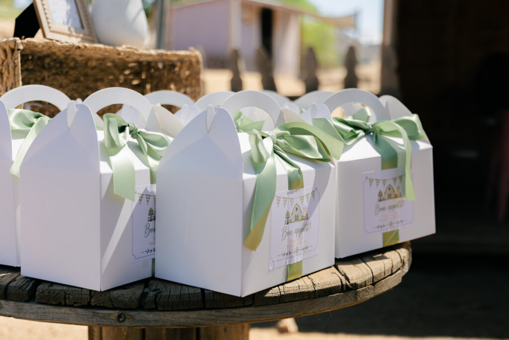 Birthday lunch boxes details at the farm