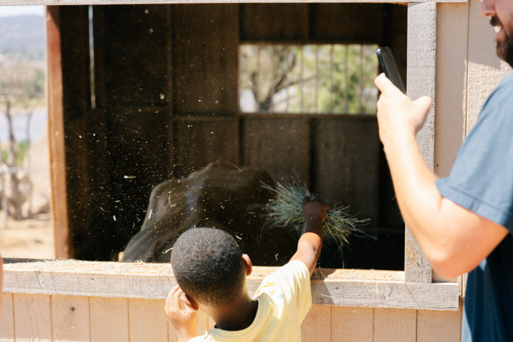 Children having fun at the farm birthday party in San Diego