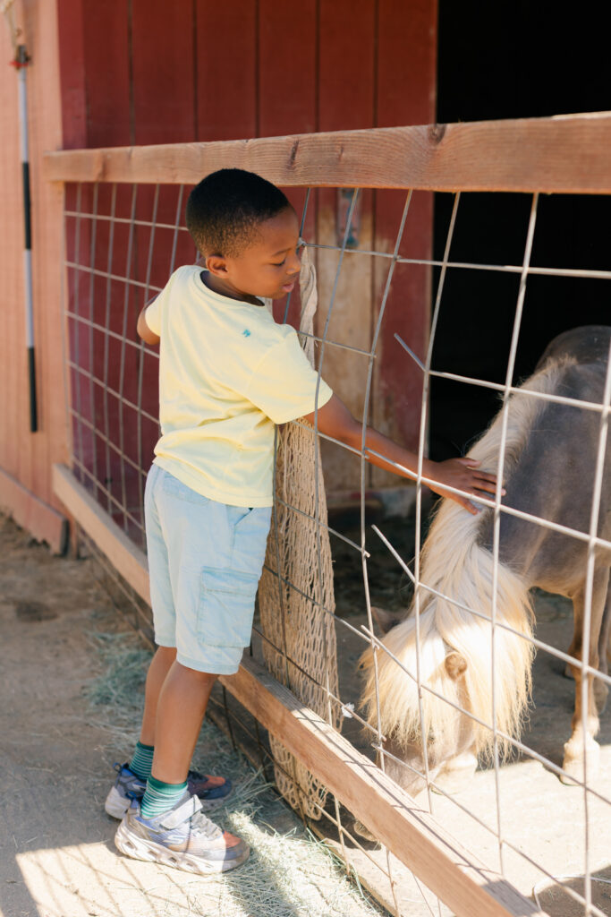 Kid petting a horse at the Happy Heart Haven Farm
