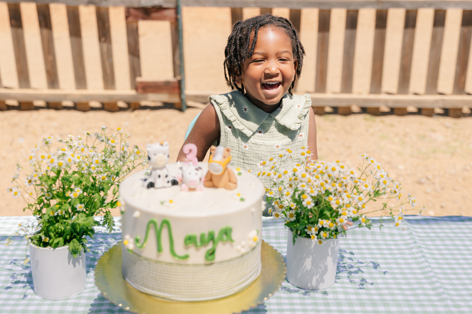 Farm birthday celebration in San Diego CA