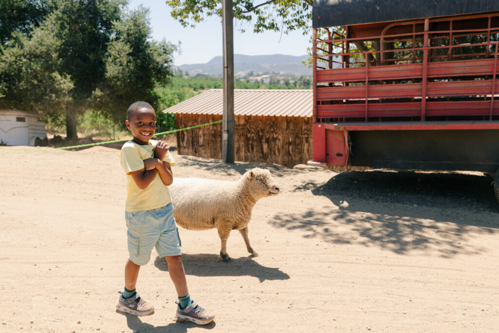 San Diego Farm Birthday Party