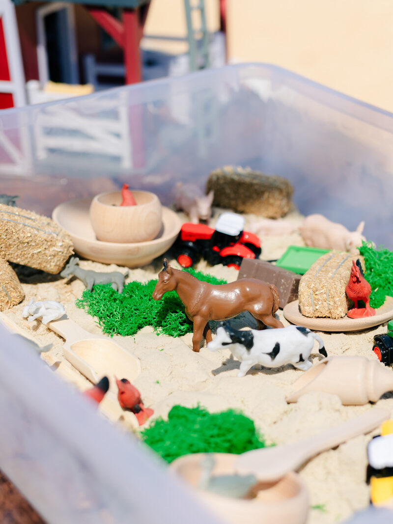 Farm themed details birthday party